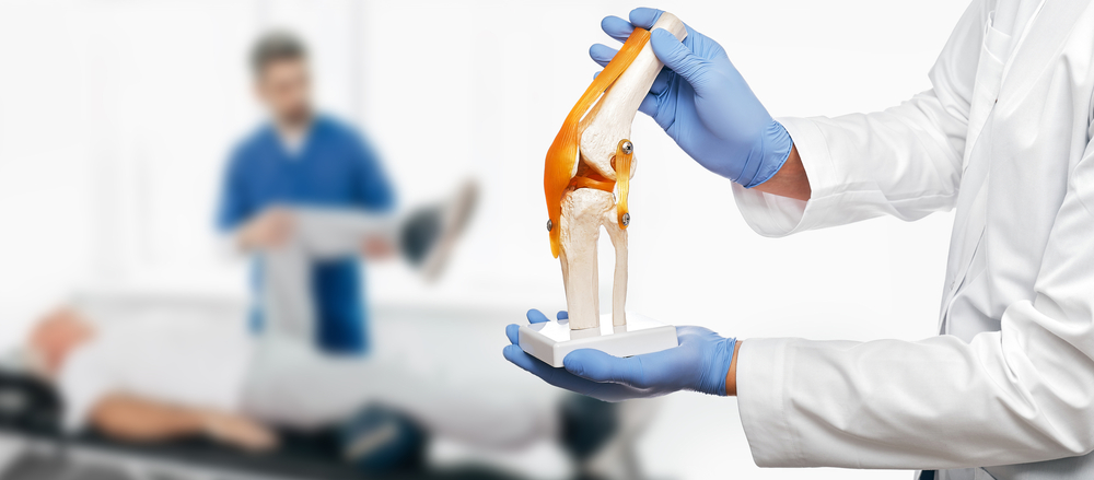 Physiotherapist holds an anatomical human knee-joint model in his hands, over background physiotherapy session for an elderly patient. Concept physio treatment and kinesiotherapy