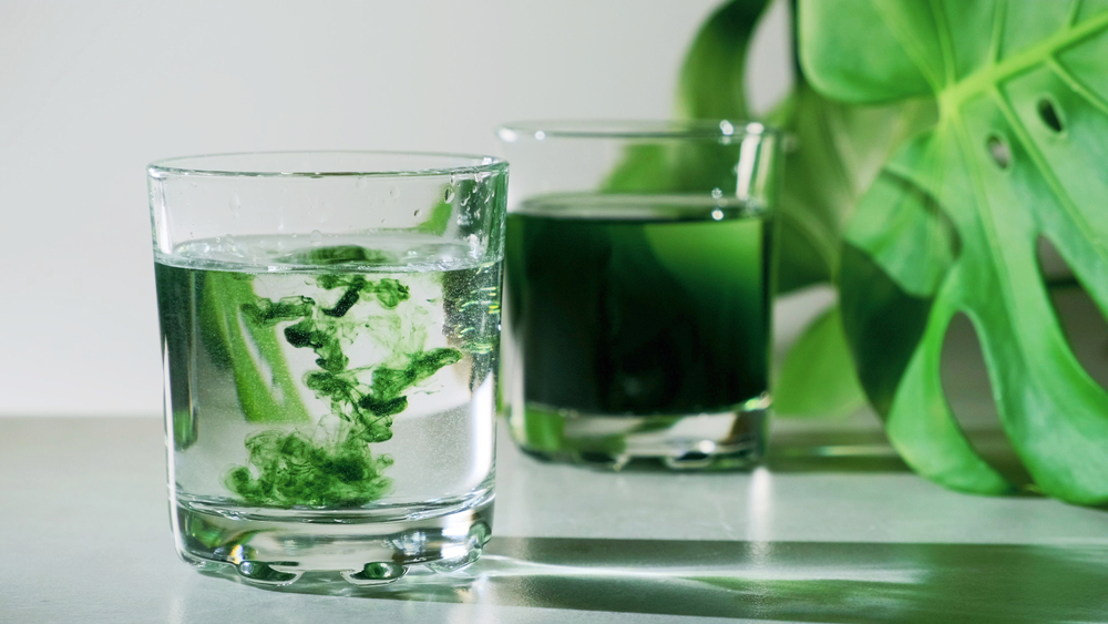 Chlorophyll extract is poured in pure water in glass against a white grey background with green leaf. Liquid chlorophyll in a glass of water. Concept of superfood, healthy eating, detox and diet