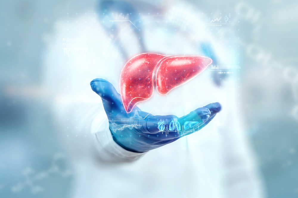 The doctor looks at the Liver hologram, checks the test result on the virtual interface, and analyzes the data. Liver disease, donation, innovative technologies, medicine of the future.
