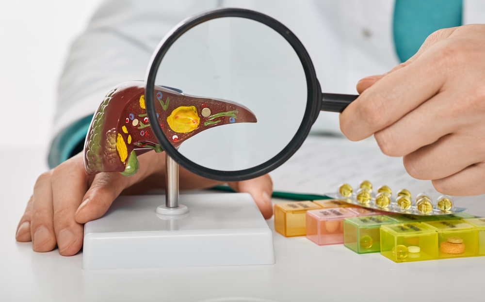 Human liver disease, diagnosis and liver treatment. Doctor showing liver anatomical model for treatment hepatitis, cirrhosis and cancer

