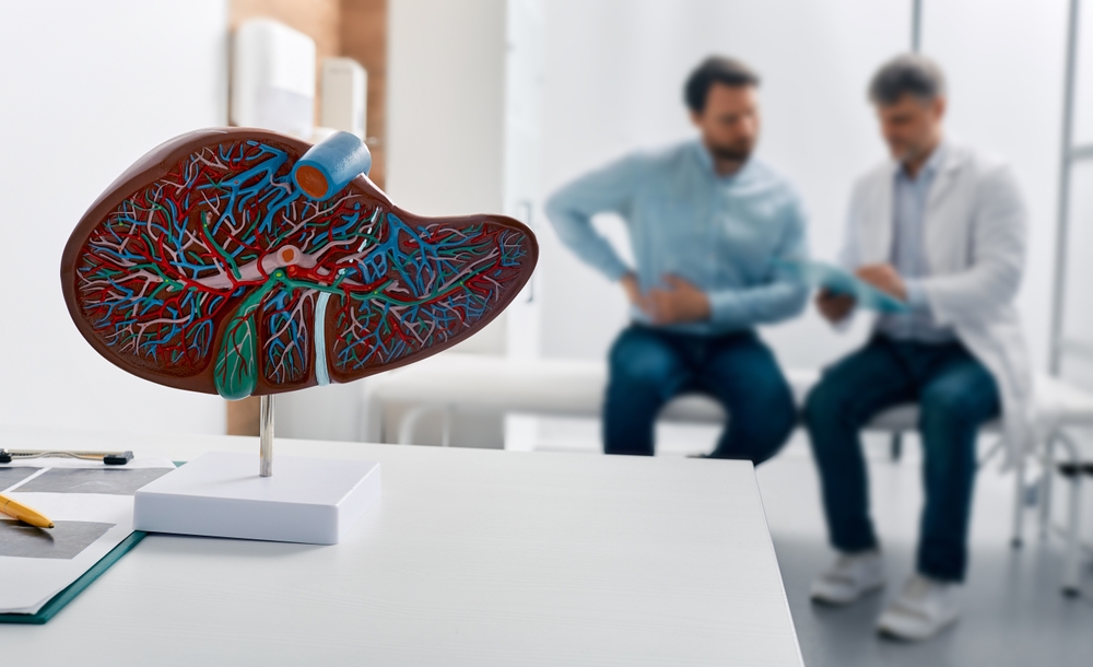 Liver anatomical model on doctor's table during hepatologist consultation for patient with side pain in background. Treatment liver diseases in medicine, conceptual image
