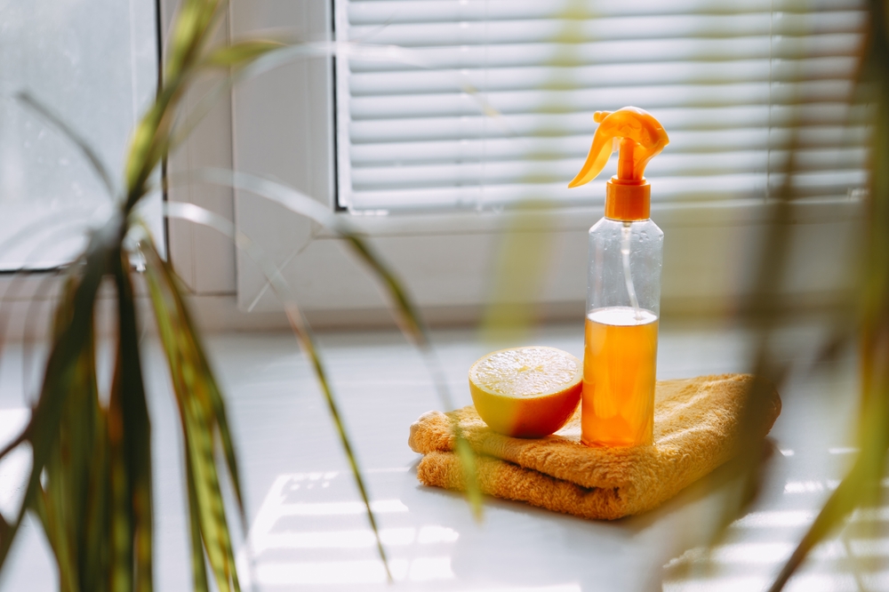 DIY cleaning spray, natural toxic free home cleaner, orange peel infused vinegar. Zero waste homemade citrus cleaner for all purpose cleaning. Eco friendly living concept. View through plant.