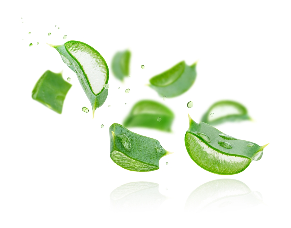 Aloe vera slices flying composition on white background. Skin care concept