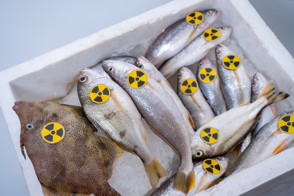 Radioactively contaminated fish. nuclear electric power waste water container radioactive to fish.  Japan starts discharging treated water into the sea. Japan nuclear power plant into the ocean. 