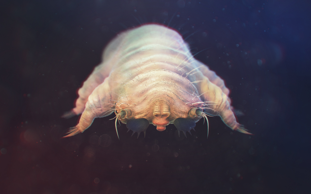 Demodex Folliculorum close-up. Demodicosis - also called demodectic mange or red mange. Demodex Lives in the hair follicles at the base of eyelashes. Human Skin Parasites