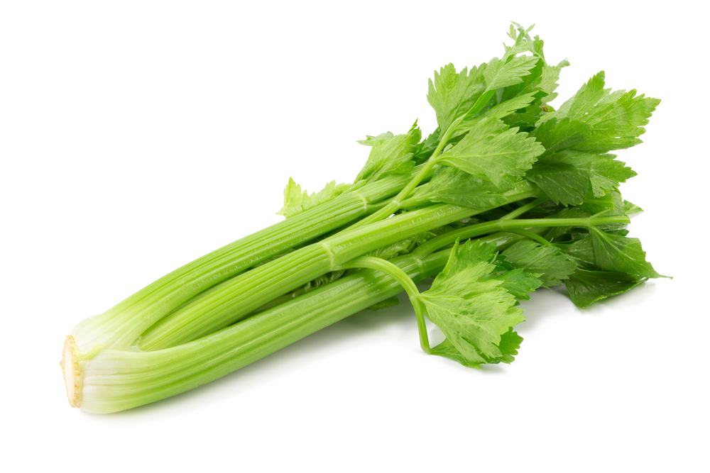 Fresh leaf celery isolated over a white background
