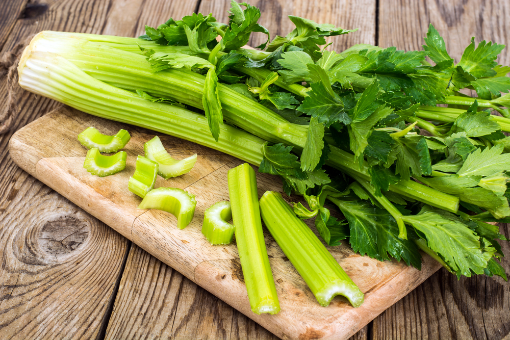 Bunch of fresh celery stalk with leaves. Studio Photo