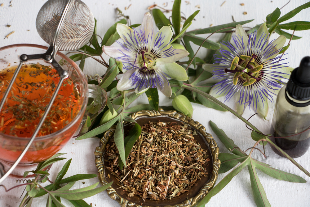 Passion flower, the medicinal plant