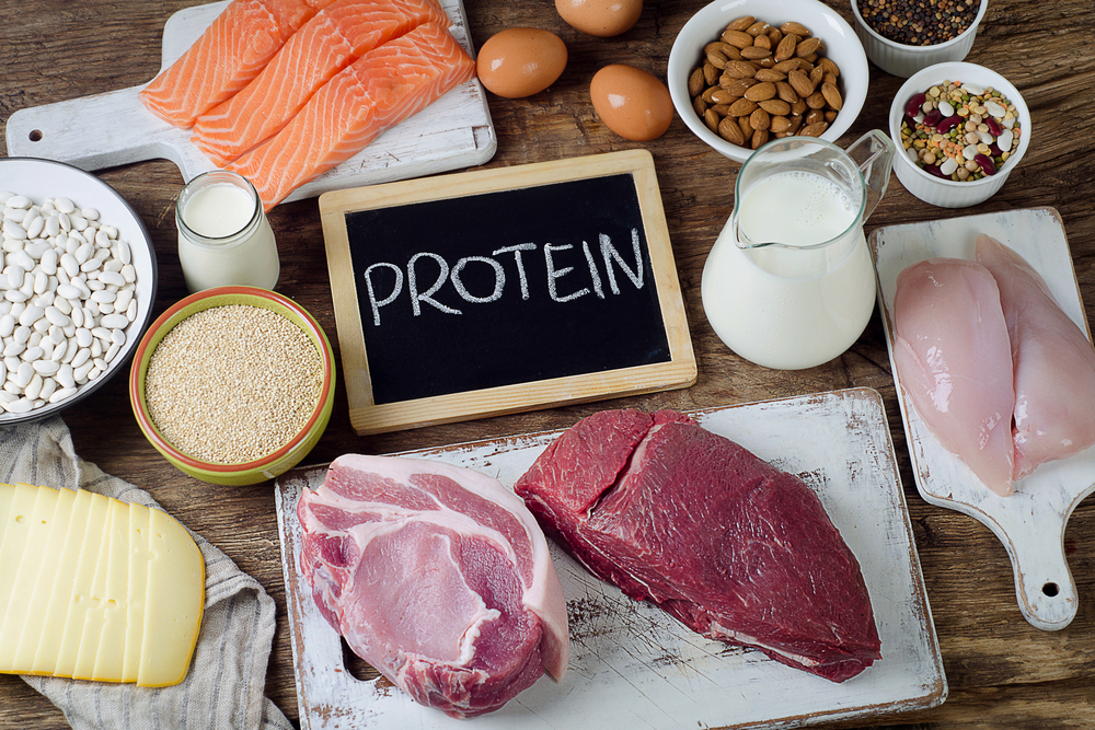 Best Foods High in Protein. Healthy eating and diet concept

