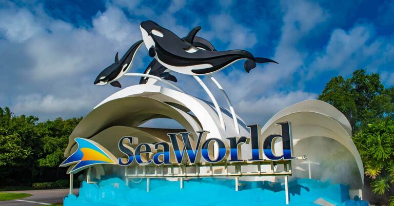 Footage Shows Tragic Death of SeaWorld Trainer After Being Savagely Killed By Whale - Featured image