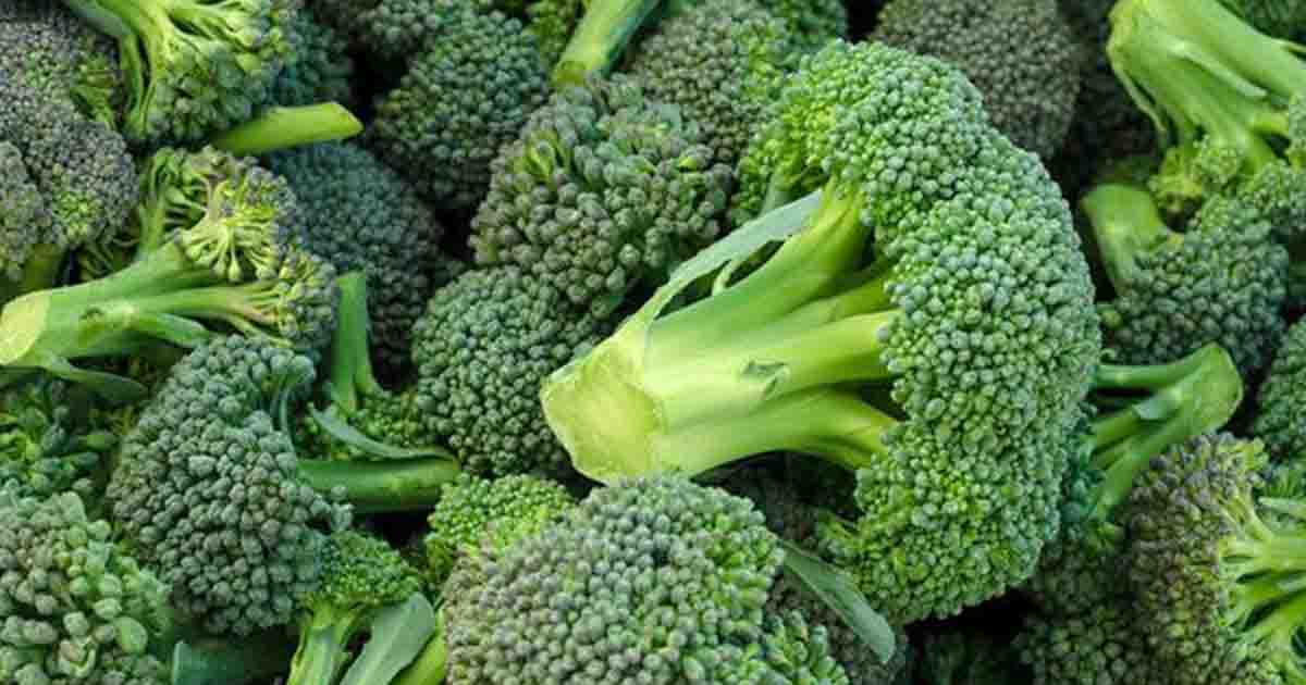 8 Foods You Should Consider Eating Raw (and 5 You Should Cook)