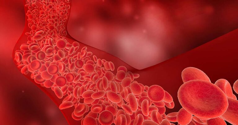 6 Drinks to Support Heart and Arterial Health - Featured image
