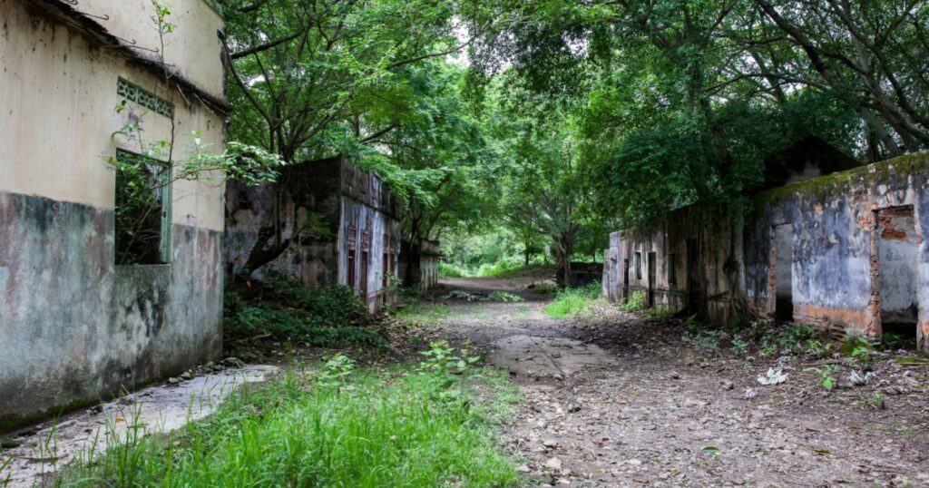 Remains of the destroyed houses of the Armero Town covered by trees and nature after 37 years of the tragedy caused by the Nevado del Ruiz Volcano in 1985