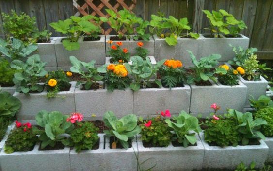cinder flower pot