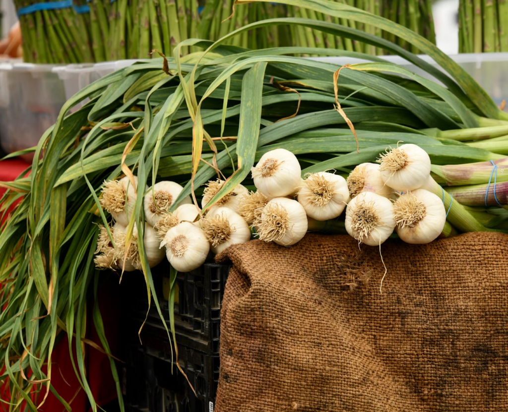 Garlic bulbs at a farmer’s market