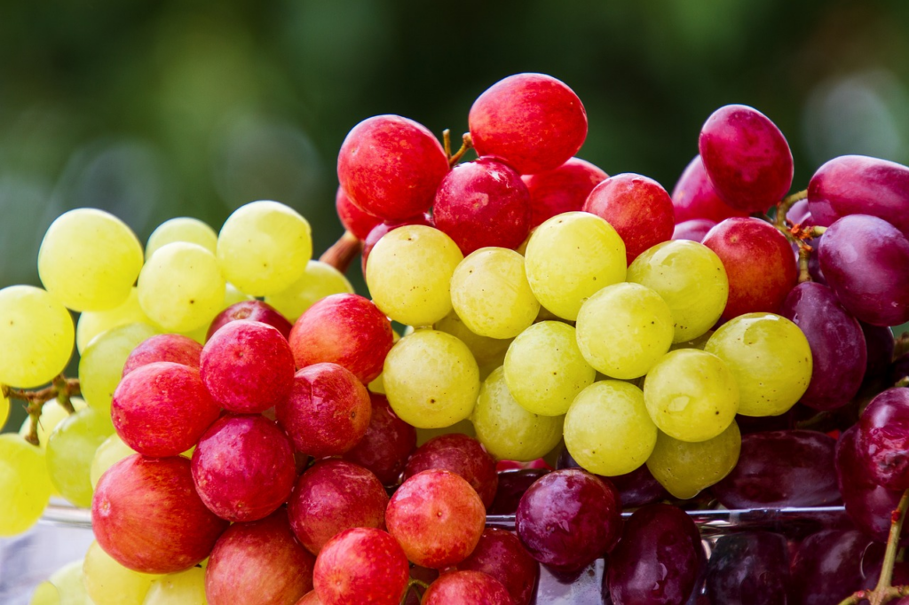 Red and Green grapes