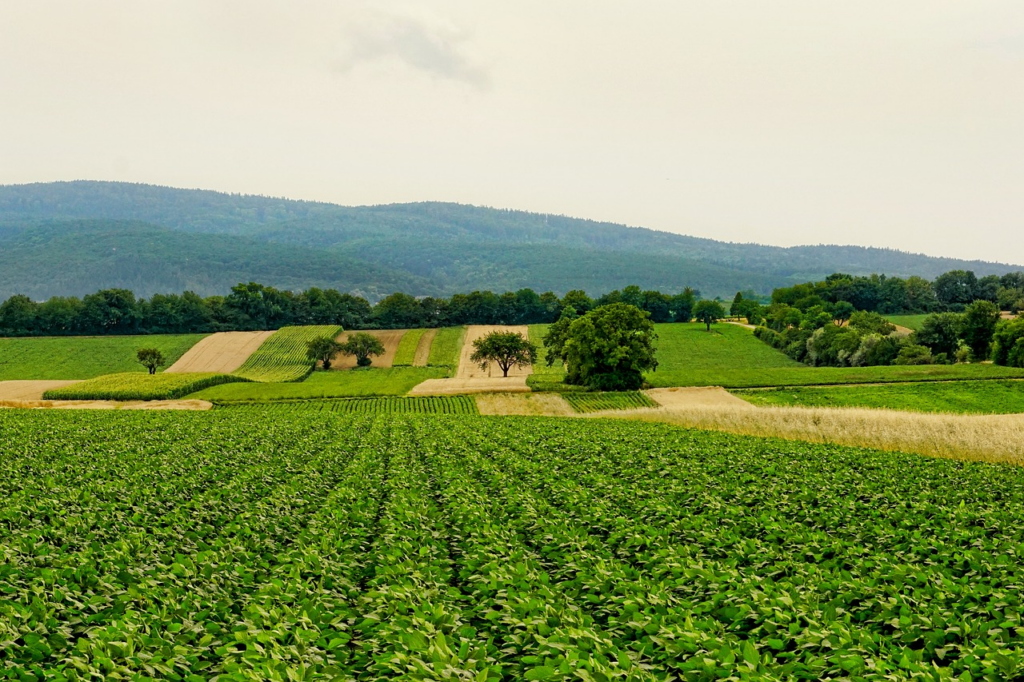 Farming fields