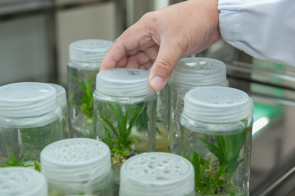 biotechnology