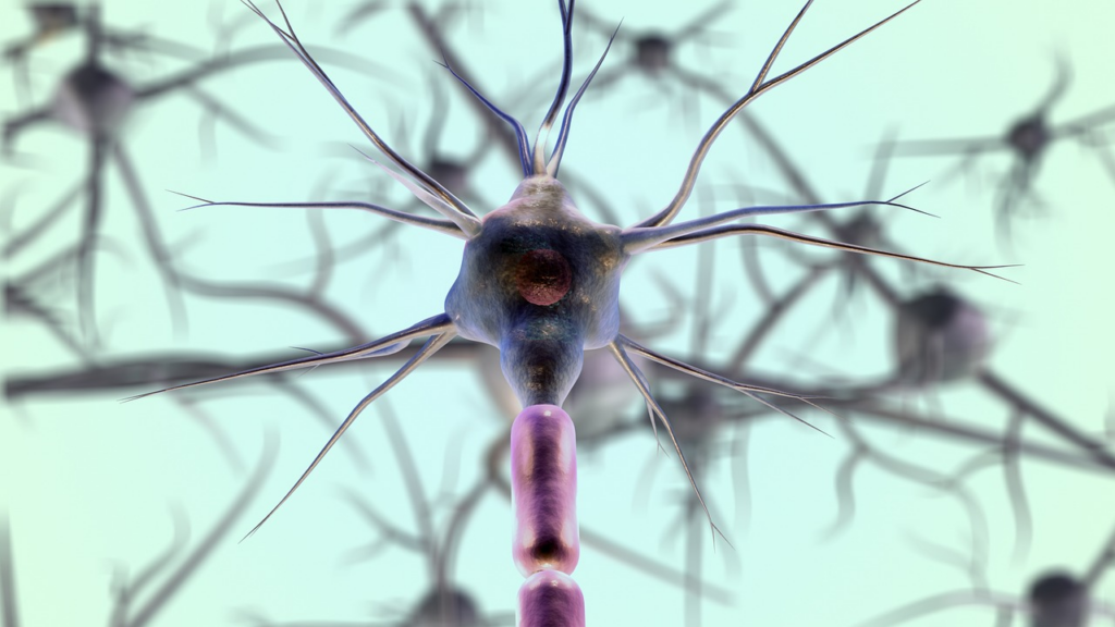 Neuron cell amongst neurons