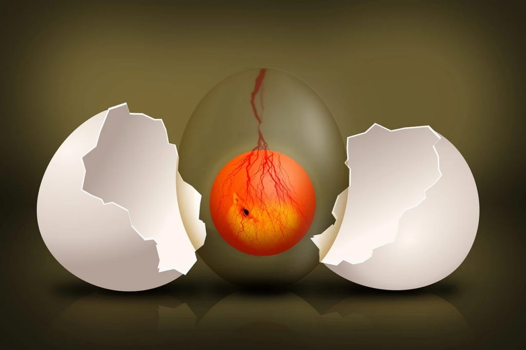 egg cracked open