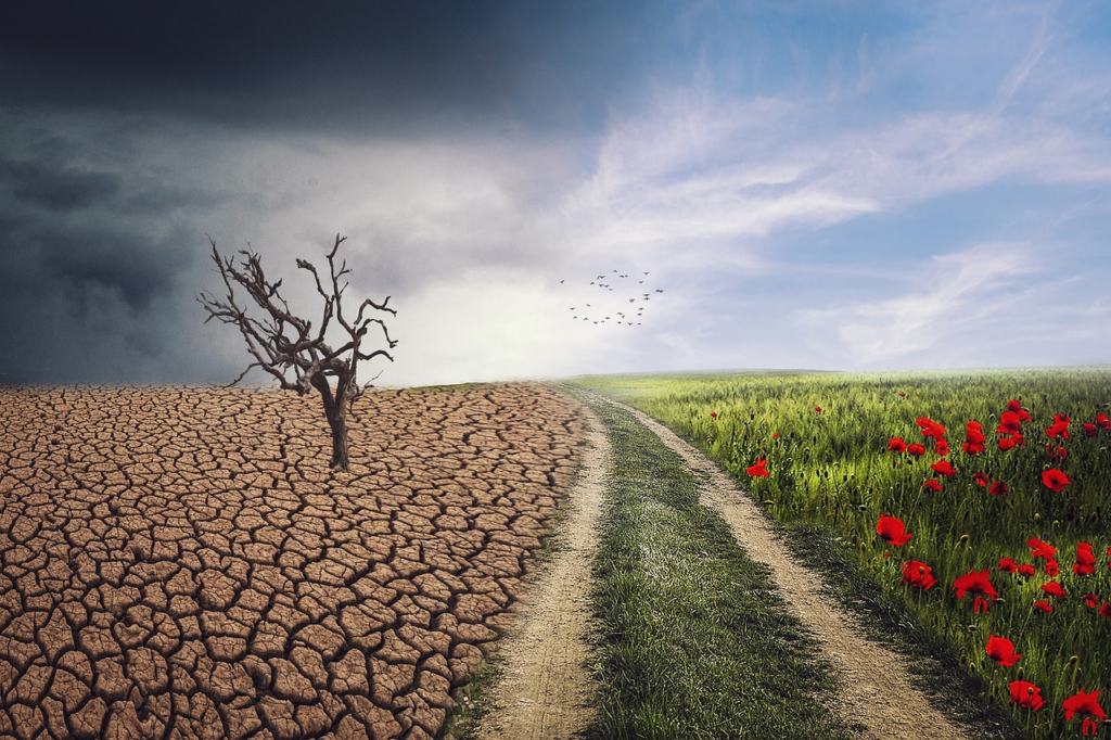 drastic climate change
