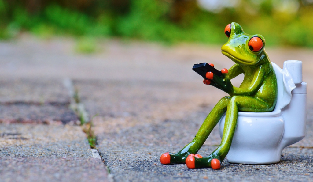 frog pooping