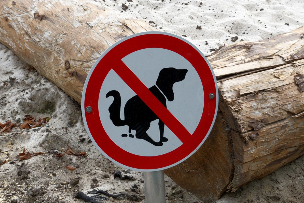 pooping dog sign