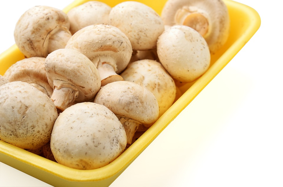 raw mushrooms