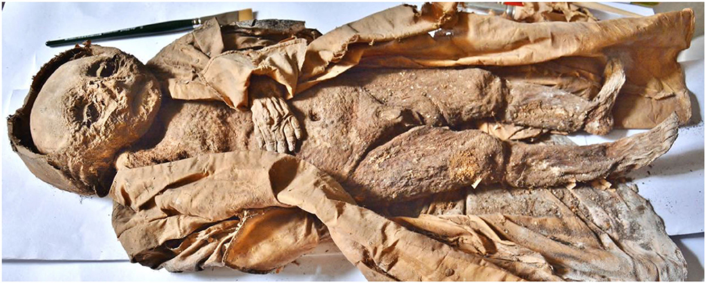 mummified child