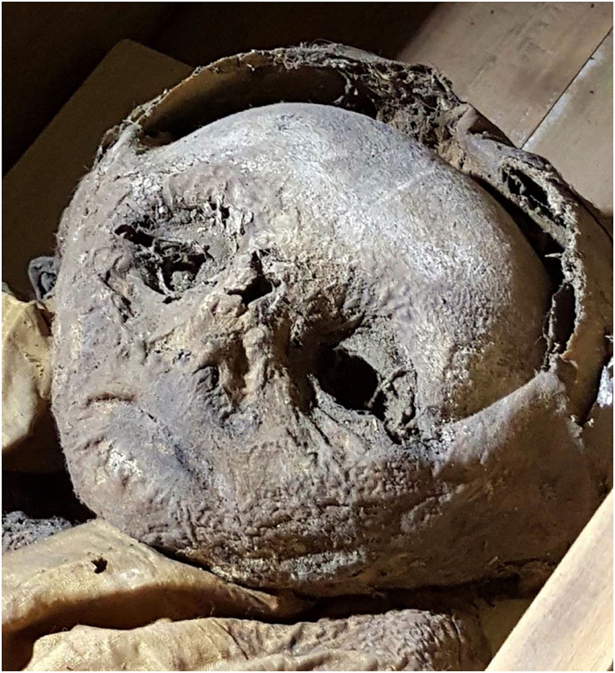 close-up of the face