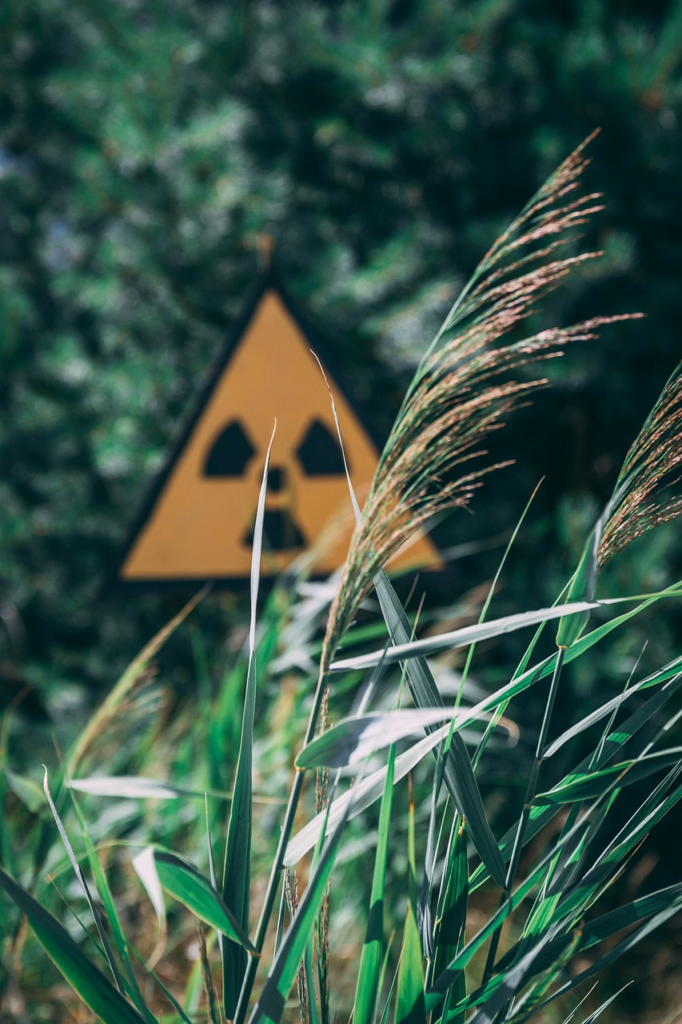 chernobyl sign