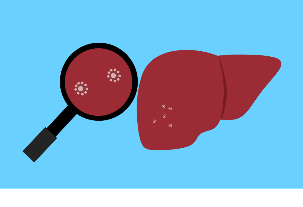 infected liver
