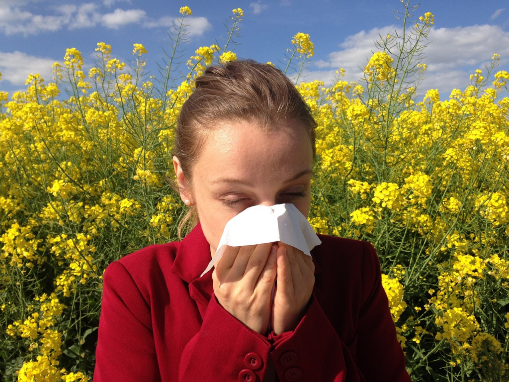 allergy ccongestion