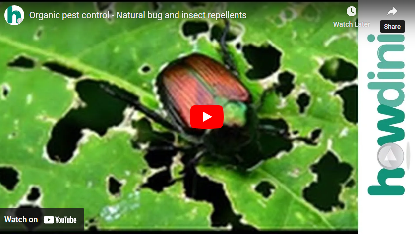 youtube vinegar garden video