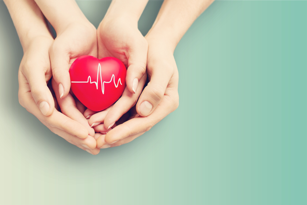 Close-up red Heart in hands, love concept