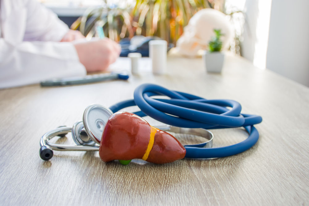 Concept photo of diagnosis and treatment of liver. In foreground is model of liver gallbladder near stethoscope on table in background blurred silhouette doctor at table, filling medical documentation
