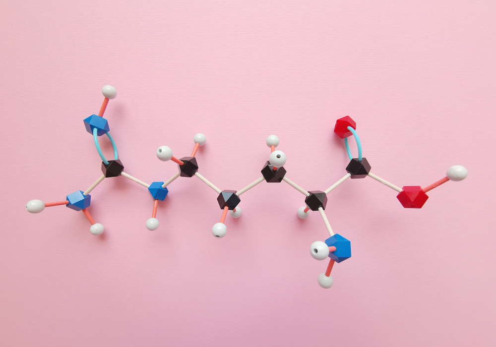Molecular structure model of Arginine molecule. Arginine (L-arginine, Arg, R) is an α-amino acid that is used in the biosynthesis of proteins. Black=C, red=O, blue=N, white=H.