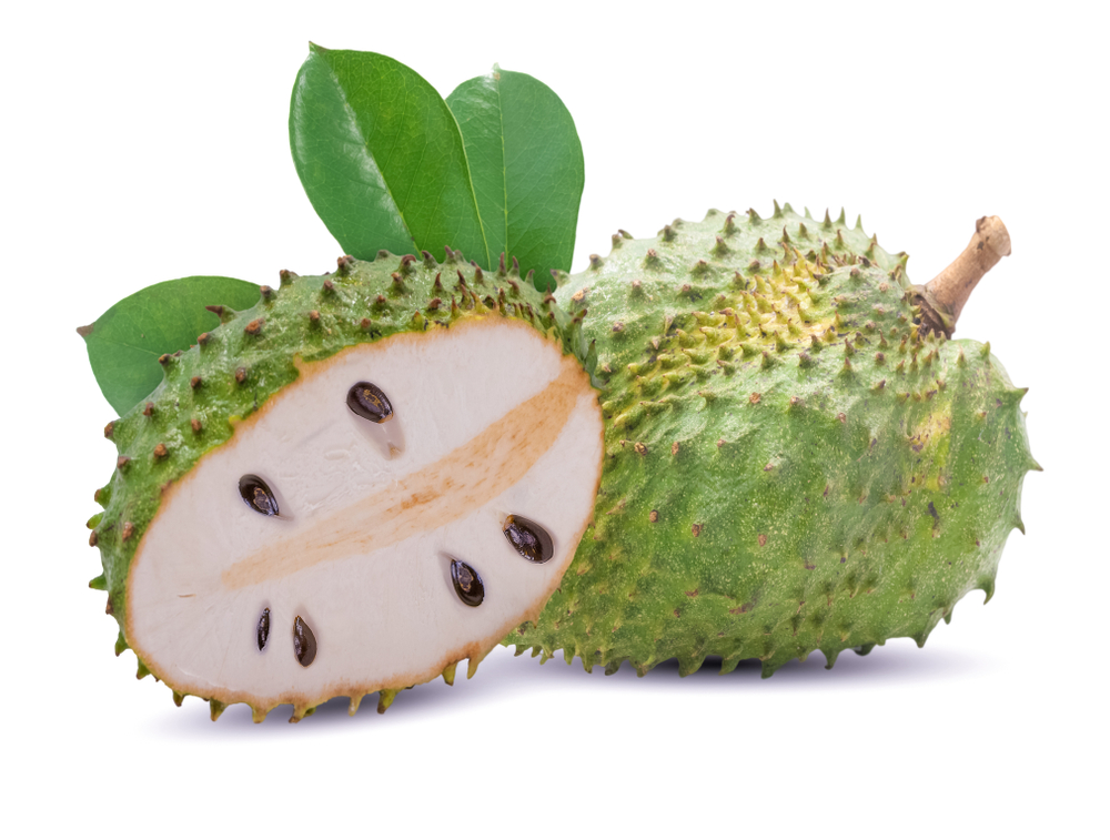Soursop or guanabana fruit isolated on white background