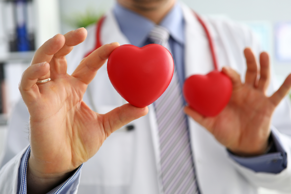 GP showing two red hearts in camera close-up. Cardio therapeutist student education CPR life save GP make cardiac physical heart rate measure arrhythmia concept