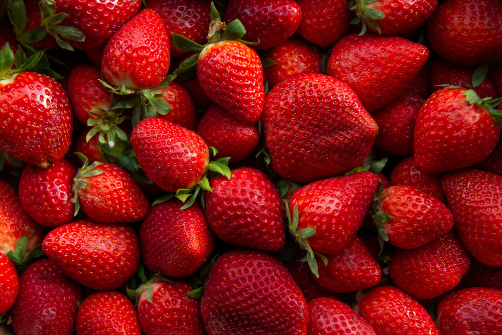 Red ripe strawberries background. Close up, top view.