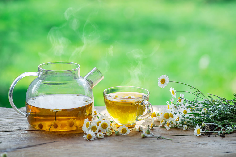 Herbal chamomile tea and chamomile flowers near teapot and tea glass. Rural or countryside background.