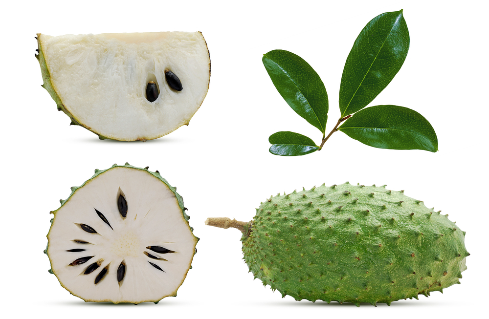 Soursop or custard apple fuite isolated on white background