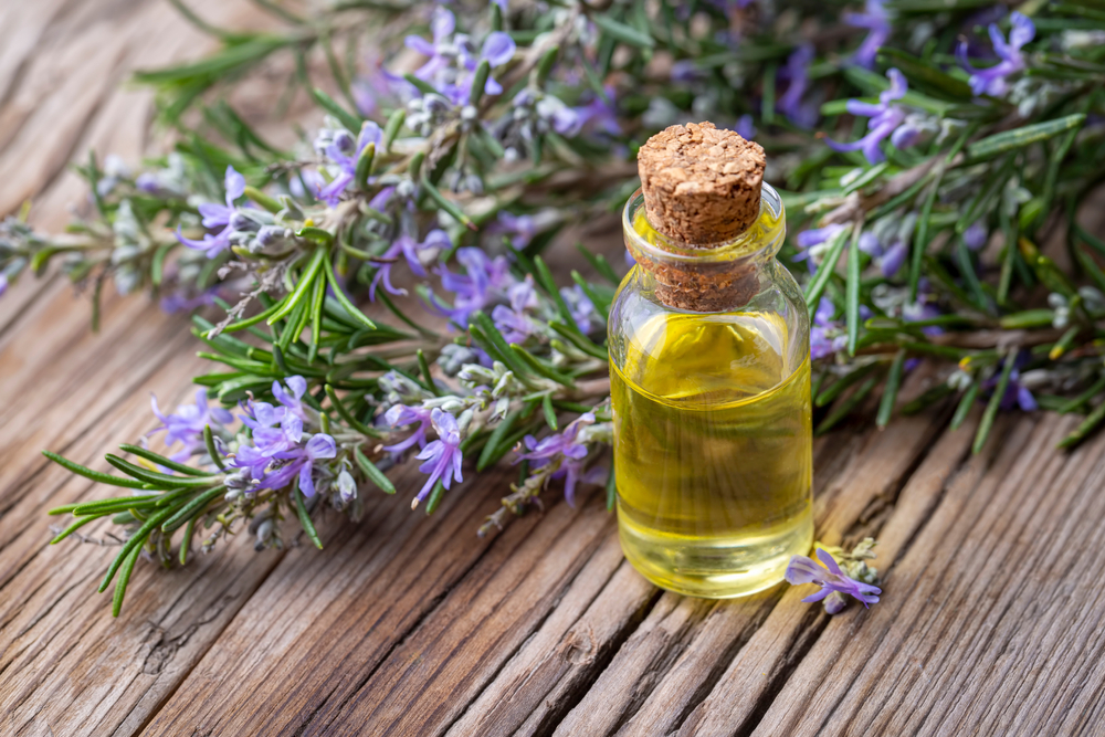 Rosemary herbal essential oil on the wooden background