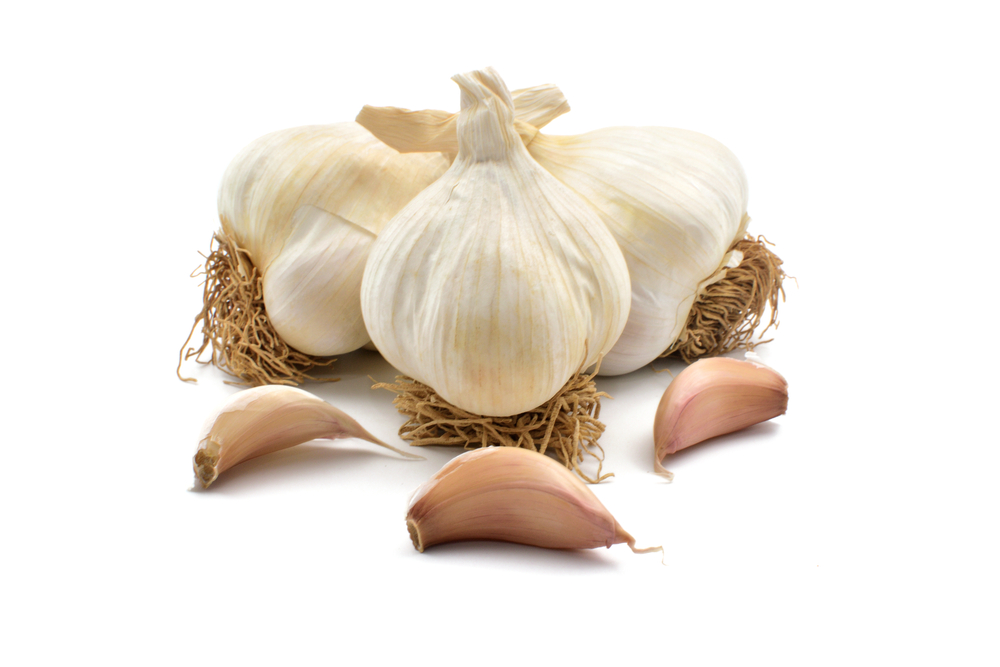 Garlic isolated on white background