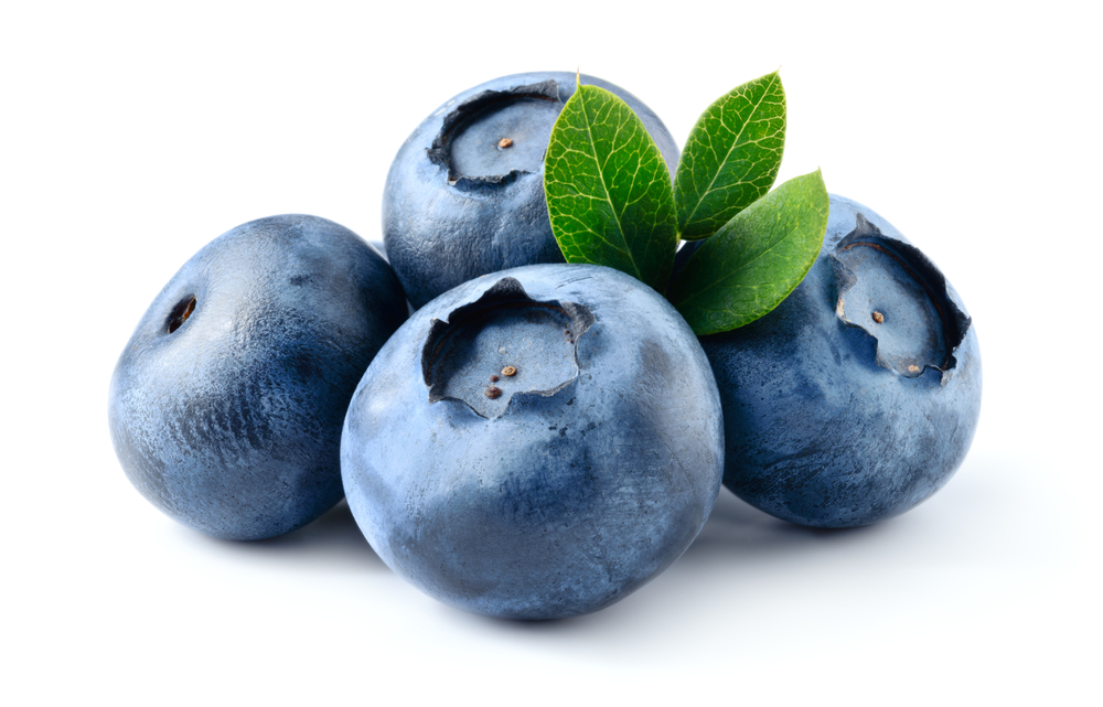 Blueberry isolated. Blueberry with leaves on white. Bilberry on white background. Full depth of field.