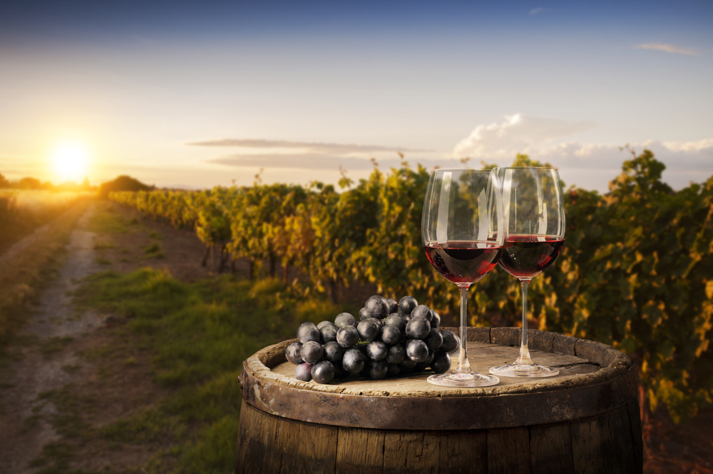 Red wine glass and grape on wooden barrel with vineyard background