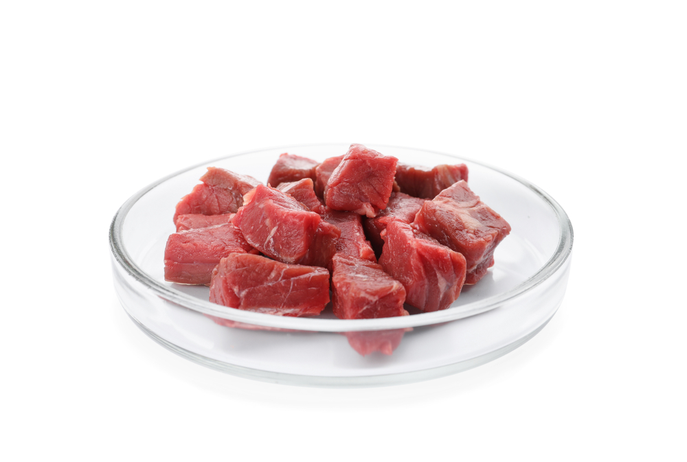 Petri dish with pieces of raw cultured meat on white background
