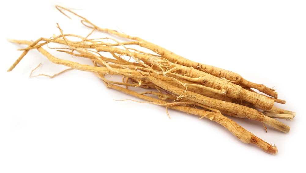 dried Astragalus membranaceus root isolated on white background