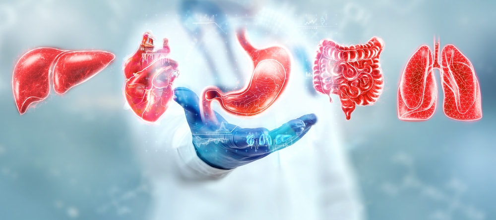 Human internal organs treatment concept. The doctor shows the patient's organs, a hologram with medical indications. Modern medicine, healthcare, medical insurance