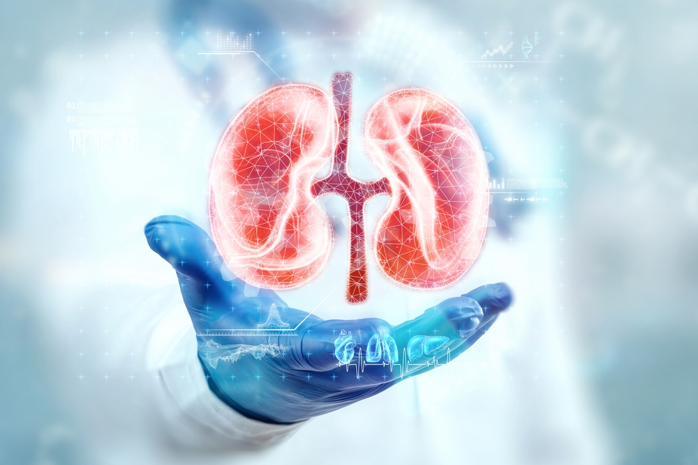 The doctor looks at the kidney hologram, checks the test result on the virtual interface and analyzes the data. Kidney disease, stones, innovative technologies, medicine of the future